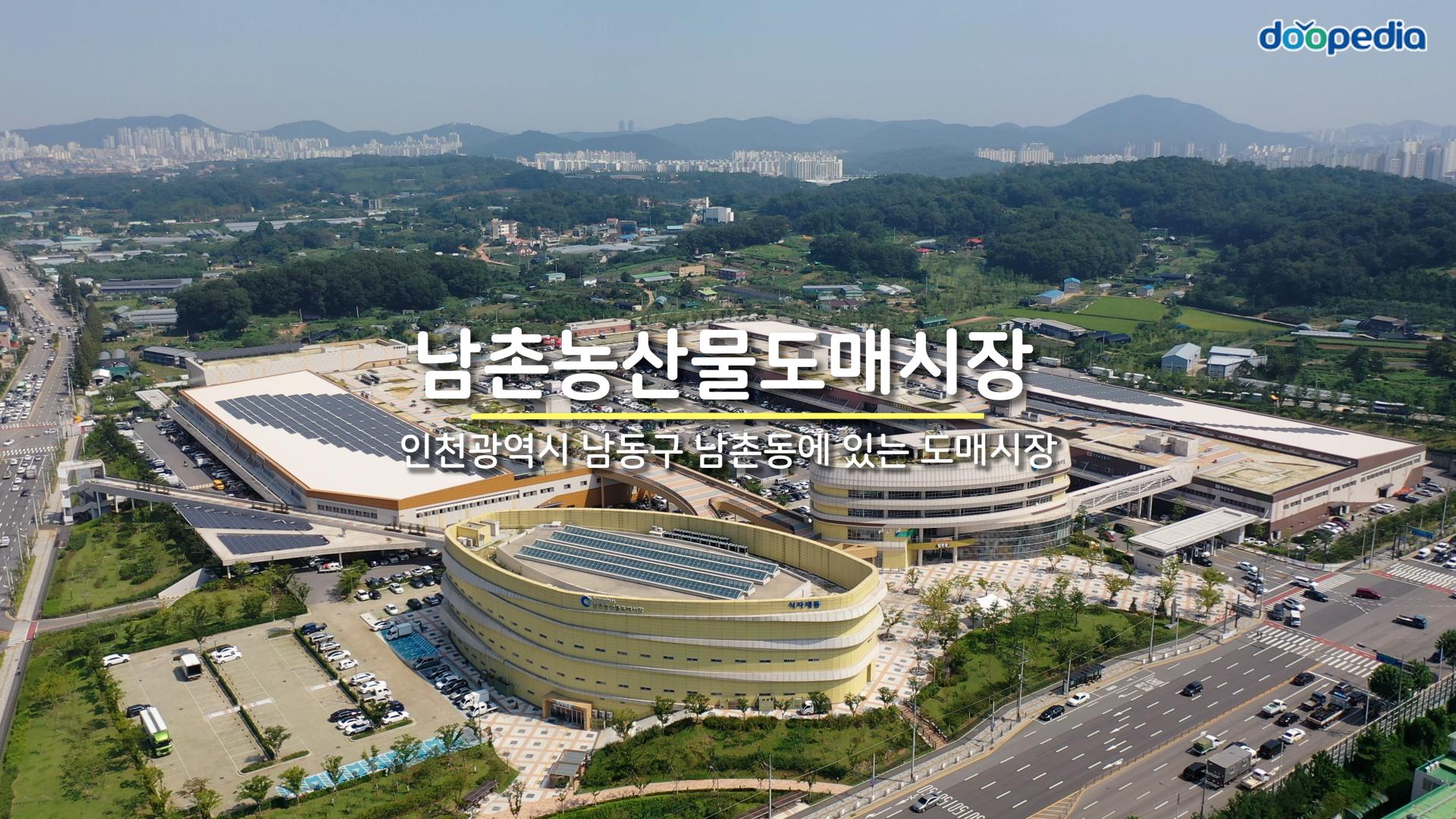 인천 남촌농산물시장 - 엽기사진실 - 이종격투기 인천 