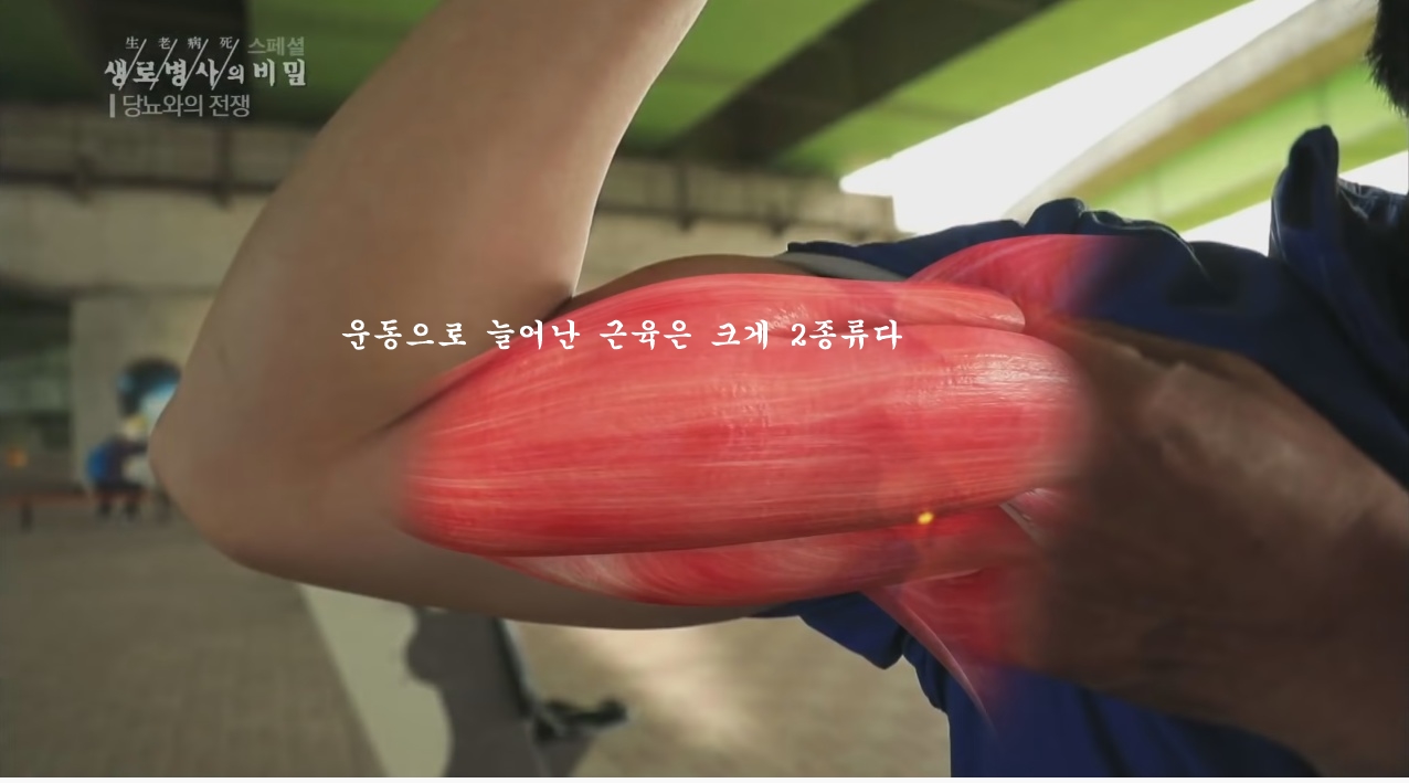 당뇨를 이긴 사람들의 운동법 | 인스티즈