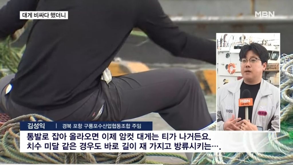  대게가 왜 이렇게 비싼가 했더니... 이유가 | 인스티즈