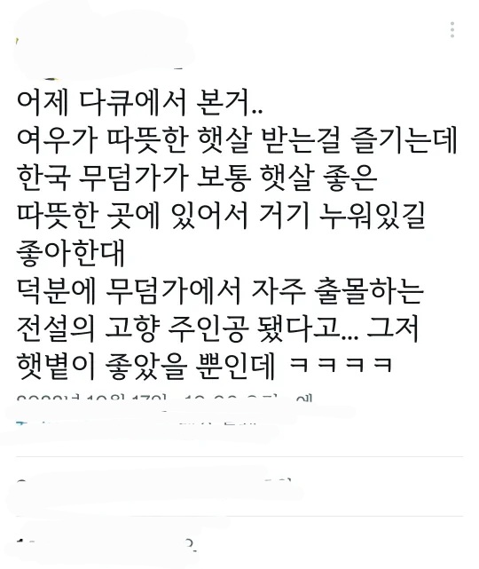 여우가 무덤에서 자주 발견되는 이유 | 인스티즈