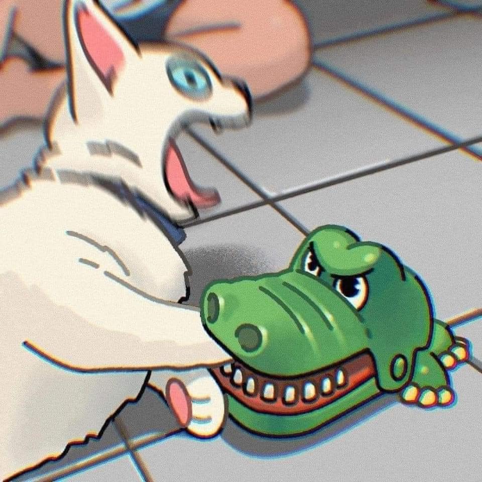 [귀여움대결] 고양이 그림 vs 사진 | 인스티즈