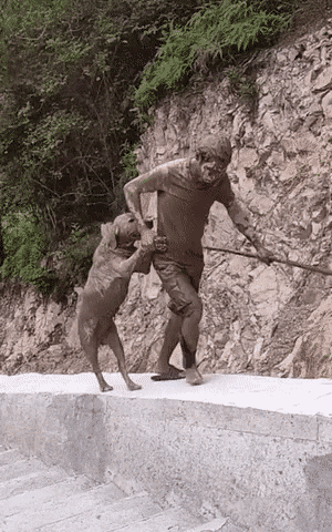 니들은 개 키우지마라 | 인스티즈