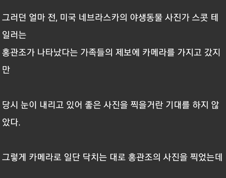 실사판 앵그리 버드를 찍는데 성공한 사진가 | 인스티즈