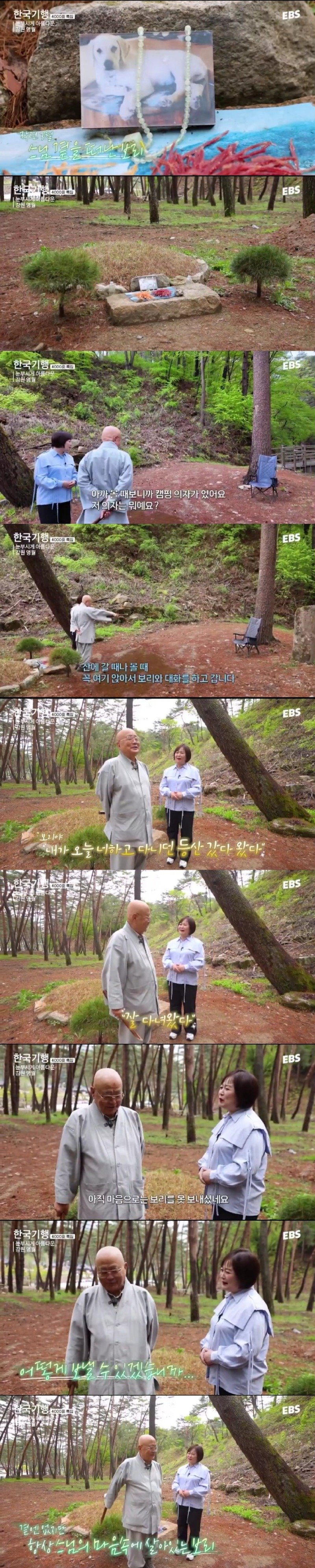 스님 머리 핥던 개 보리 근황 | 인스티즈