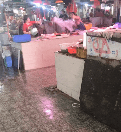 중국의 워터밤 | 인스티즈