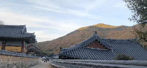 43c8f526b9e7a02192d1afe4ccee552df9b8f6ca