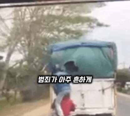 브라질의 독특한 트럭 문화.jpg | 인스티즈