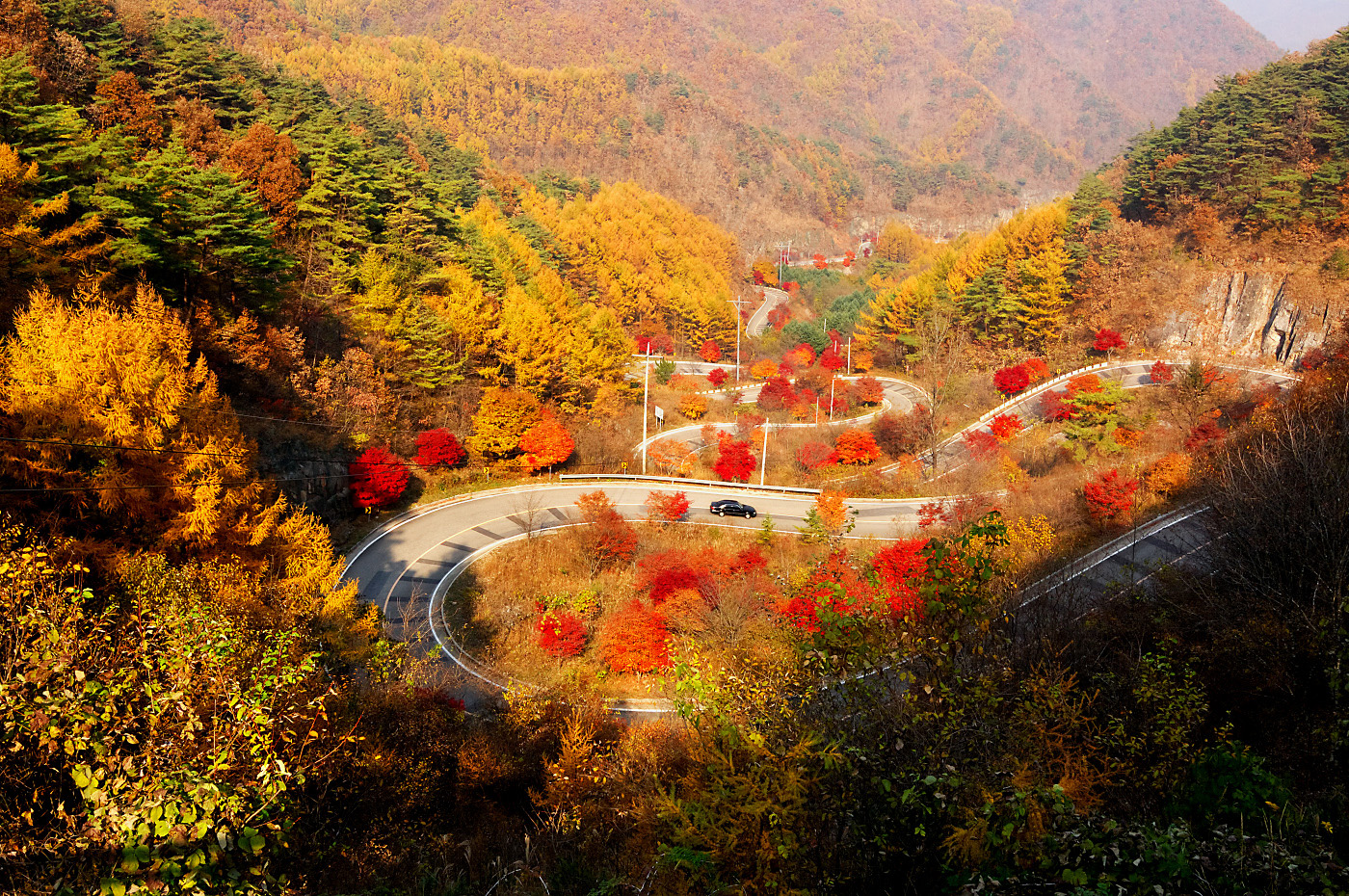 44d45a2991d23224521e08e20e4e8342957efda4