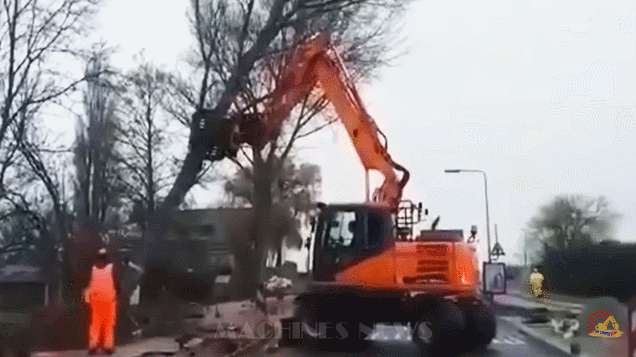 벌목(?)하려다 넘어지는 굴삭기 | 인스티즈