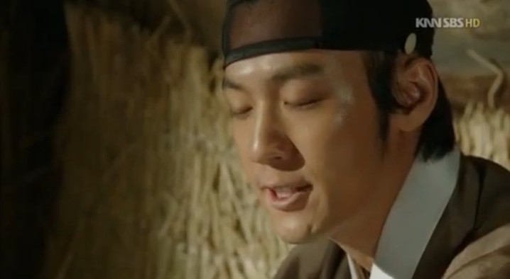 뿌리깊은나무 이미지