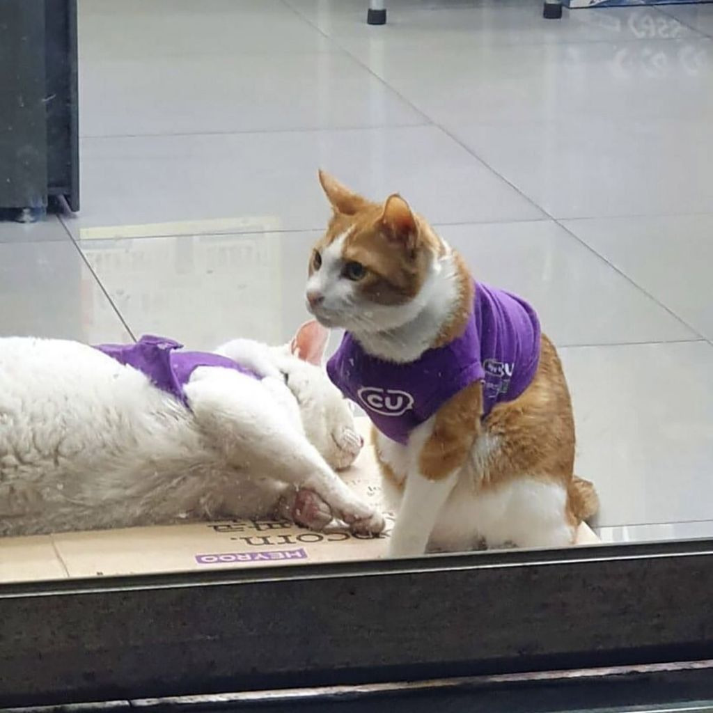 우리동네편의점 이미지