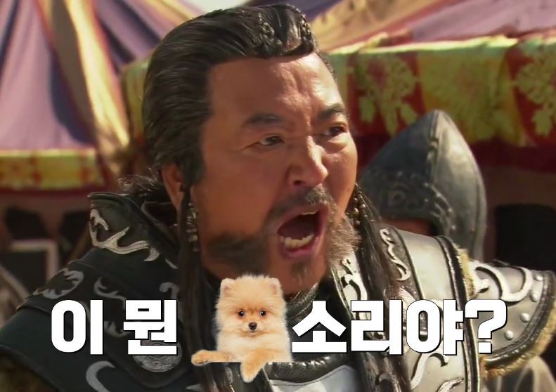 굥두광 "올해 상식적 정책 폈다”..대통령실 "자랑스럽다” | 인스티즈