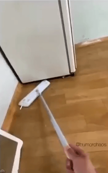 [깜놀주의] 비명 레전드 | 인스티즈