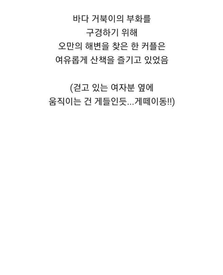 바위 틈에 빠진 바다 거북이를 구하는 커플 | 인스티즈