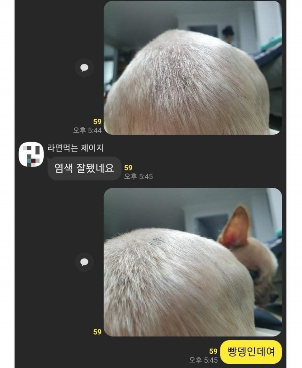염색 잘됐네요.jpg | 인스티즈