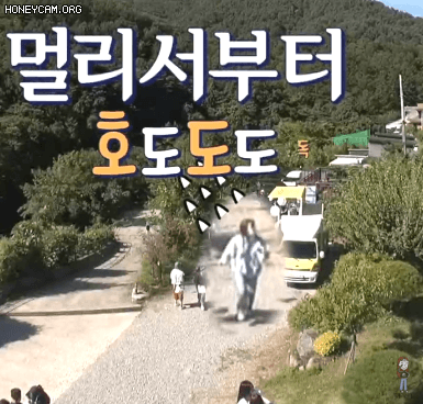 방송중에 대놓고 기강잡는 연예인 ㄷㄷㄷ.gif | 인스티즈