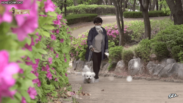 주인 없는 가게에 혼자 방치된 강아지 | 인스티즈