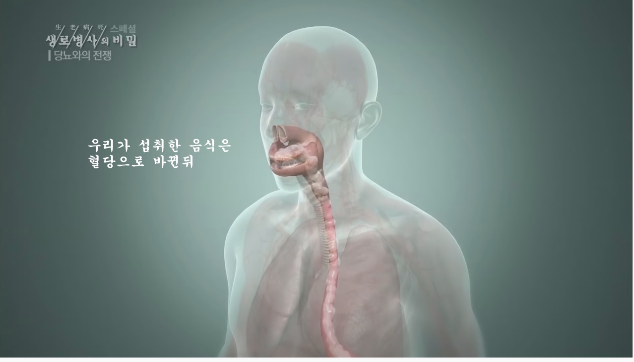 당뇨를 이긴 사람들의 운동법 | 인스티즈