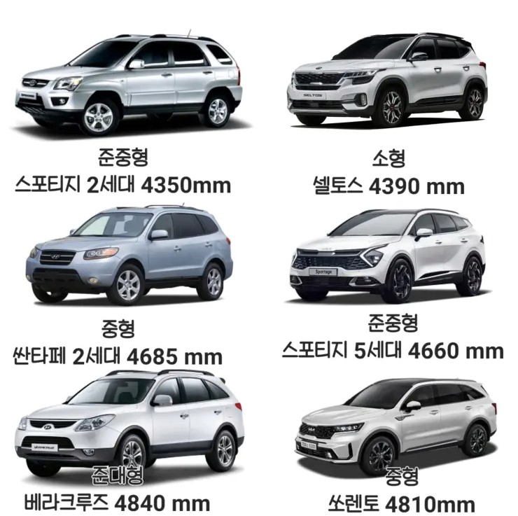 Daum 카페