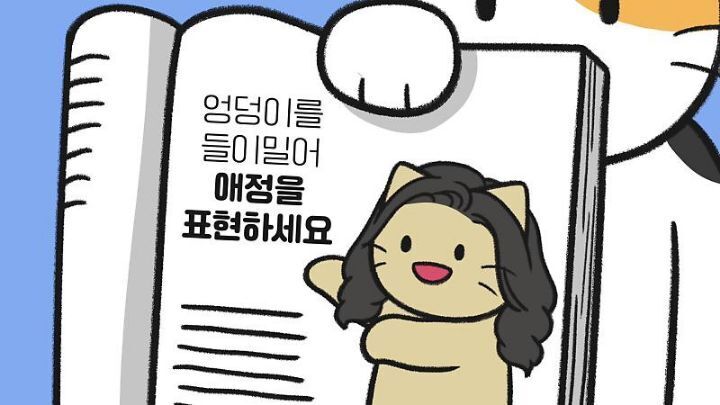 고양이가 집사에게 엉덩이를 들이미는 이유 5가지 | 인스티즈