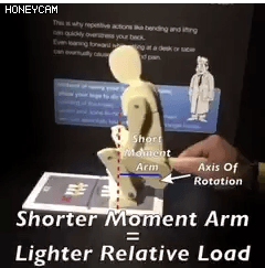 허리디스크 터지는 법 | 인스티즈