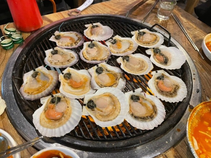 조개구이의 왕! - 엽기사진실 - 이종격투기 조개구이의 왕!