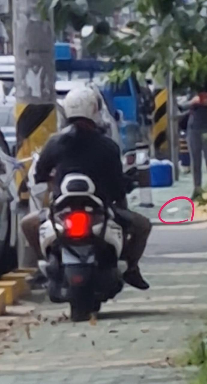 폭탄돼지 이미지