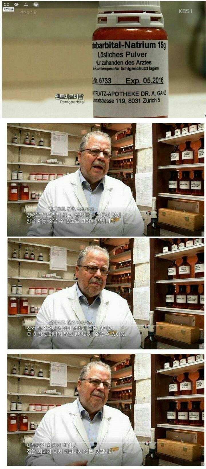 고통없이 죽는 약 - 엽기사진실 - 이종격투기