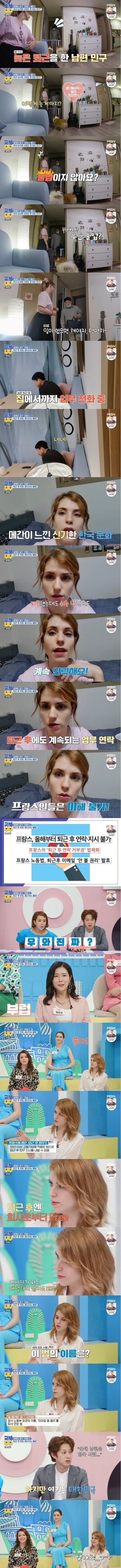프랑스인 와이프가 이해못하겠는 한국 문화우리 강아지 산책하다가 싸움났는데 솔직히 누가 이긴거같아?....jpg | 인스티즈