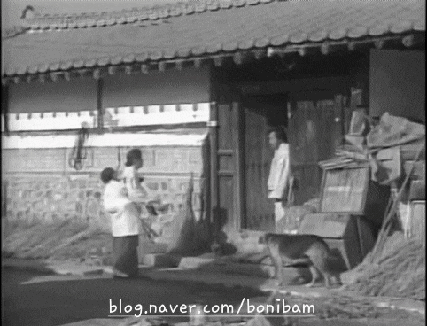 일용이네 이미지