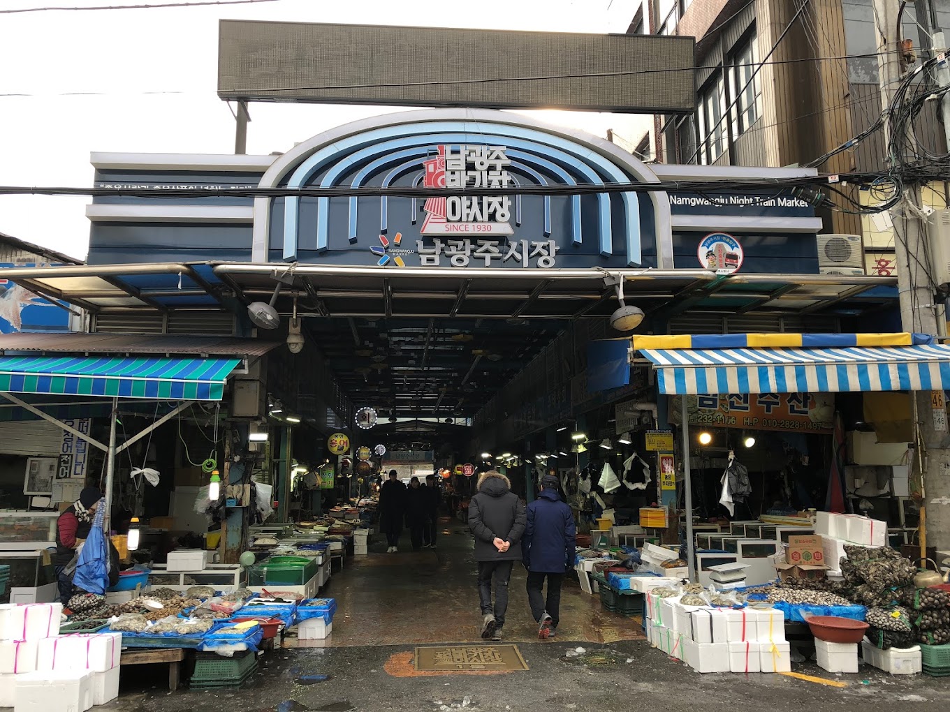 광주 동구 남광주시장 - 엽기사진실 - 이종격투기 광주 동구 