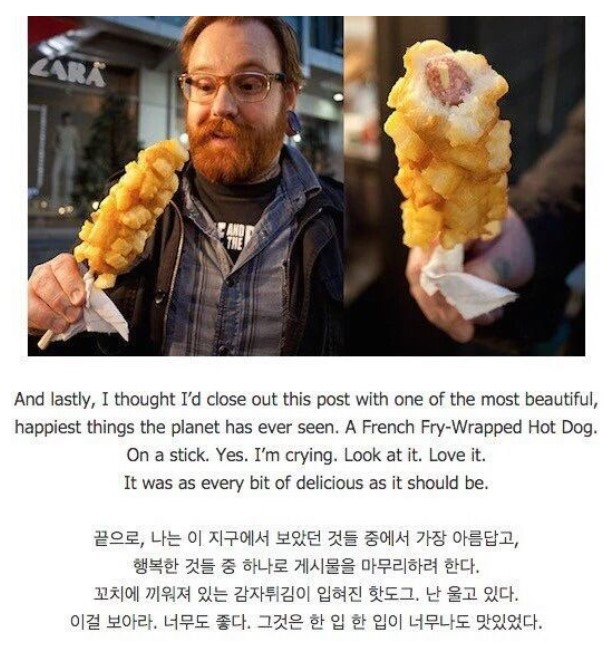 어느 홍모인이 발견한 세상에서 가장 아름답고 행복한 그것 - 엽기사진실 - 이종격투기 어느 홍모인이 발견한 세상에서 가장 아름답고 행복한 그것