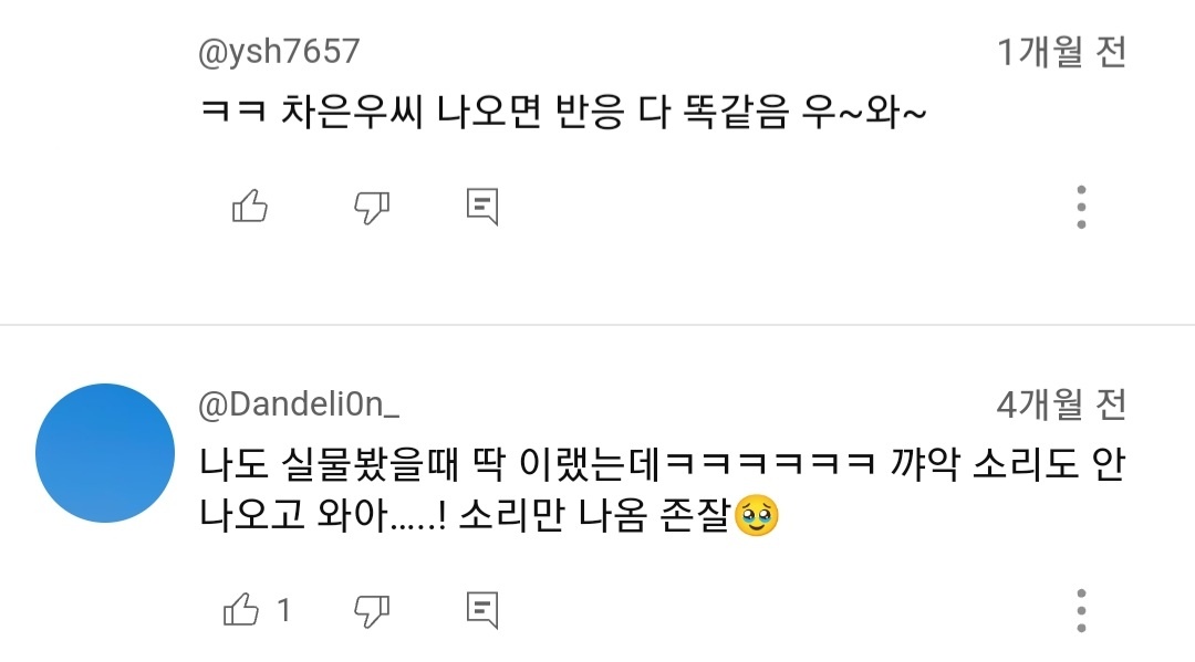 (여지껏 본적없는) 일반인이 리얼 천상계 미남을 만났을때 무심코 나오게 되는 현실적인 찐반응 | 인스티즈