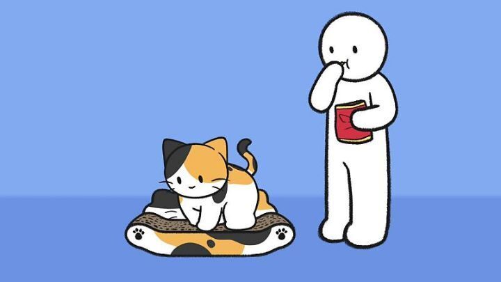 고양이가 집사에게 엉덩이를 들이미는 이유 5가지 | 인스티즈