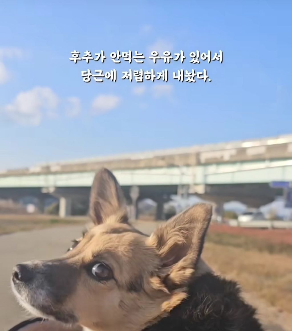 얘 믹스에요? 얘가 먹던거에요? | 인스티즈