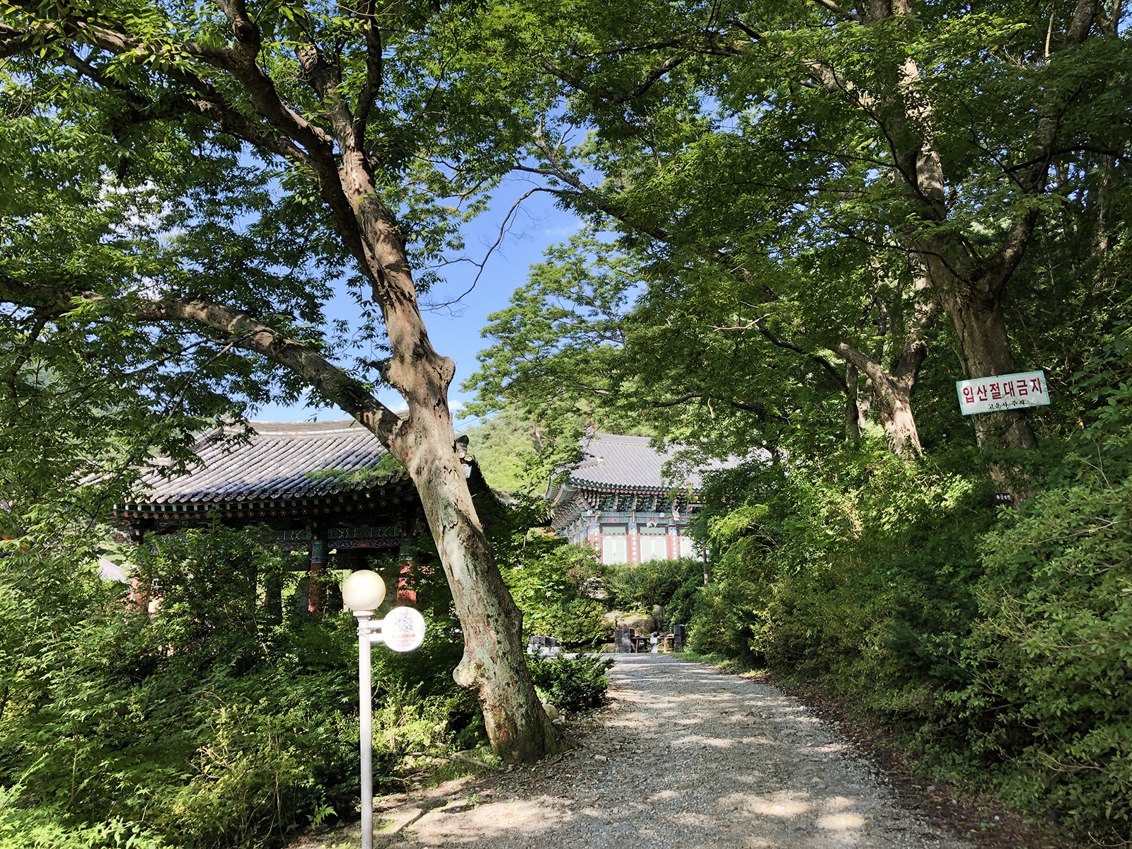 560957f2a1f053a0a601ebdbc18717b37bae4c89