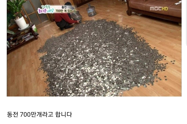 동전 700만 개 있는 집.jpg - 엽기사진실 - 이종격투기 동전 700만 개 있는 집.jpg