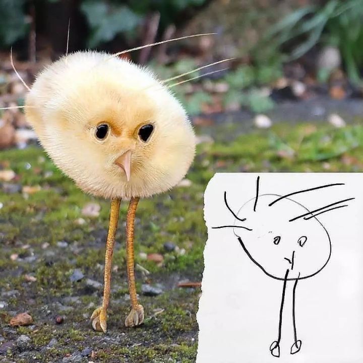 아이가 그린 그림 실사화 | 인스티즈