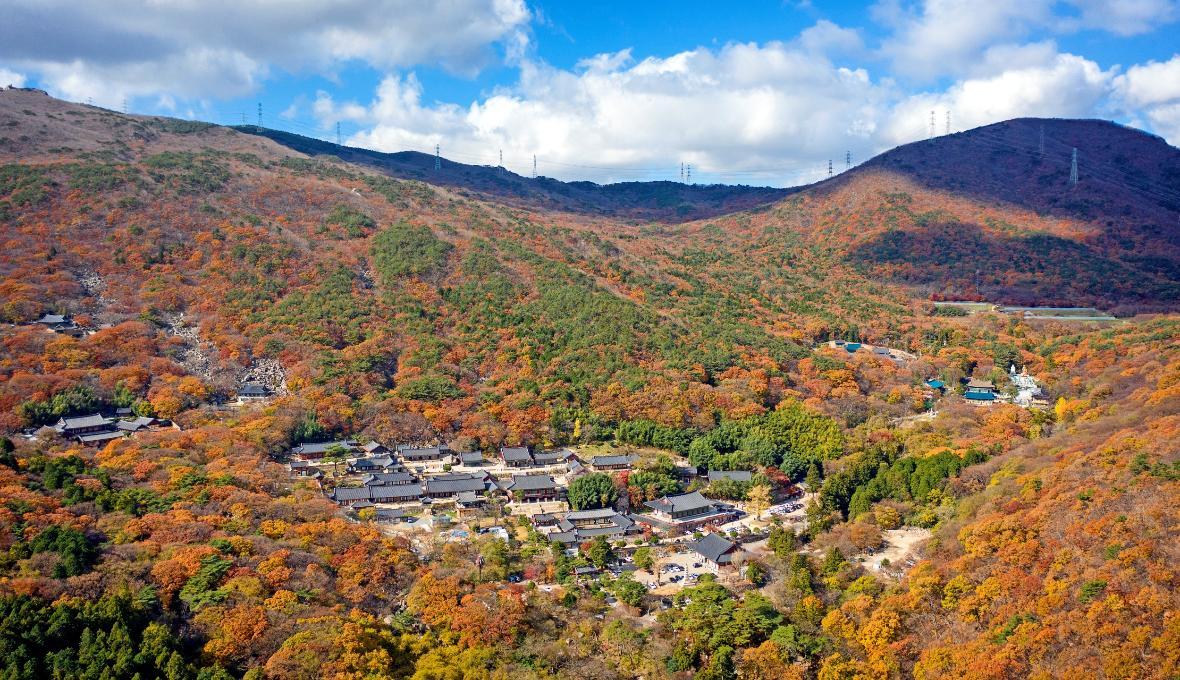 593b359b5bdbb404ccdf188a9b2211fb41c9e422