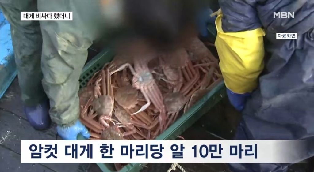  대게가 왜 이렇게 비싼가 했더니... 이유가 | 인스티즈