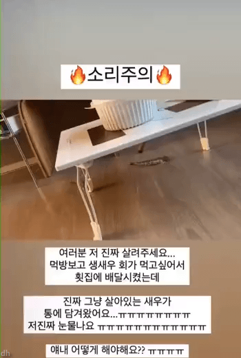 [깜놀주의] 비명 레전드 | 인스티즈