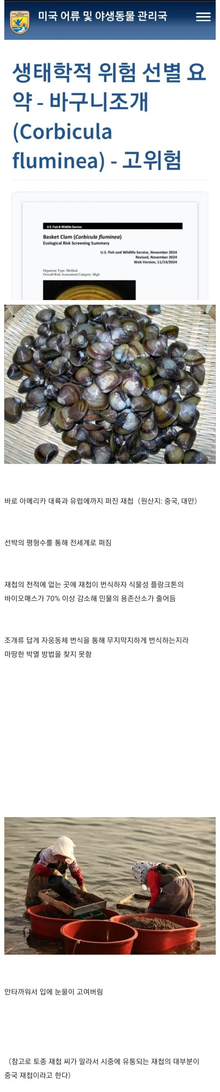 현재 미국과 유럽에서 난리가 났다는 생태계 교란종 | 인스티즈