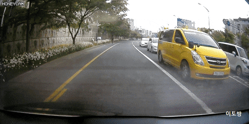 자라니 레전드 총망라 | 인스티즈