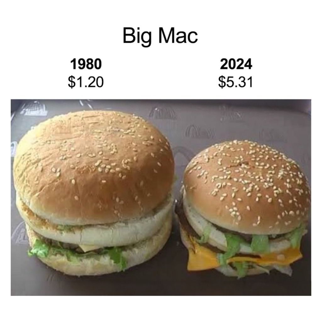 1980년 빅맥 vs 2024년 빅맥 | 인스티즈