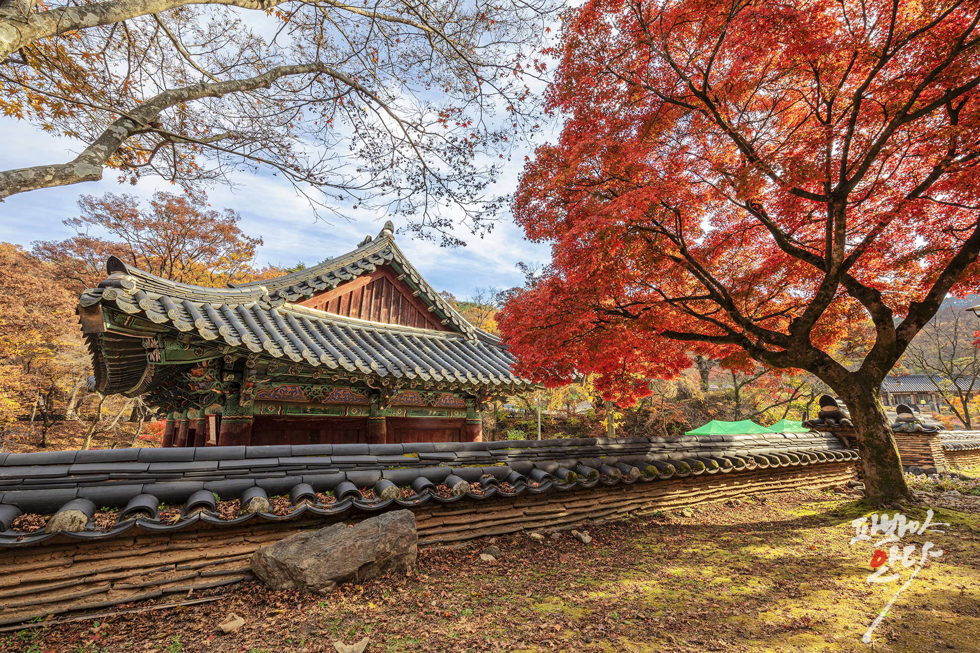 62e1a4f466dca71b6bad01bf96b5f3aa6a7a5db6