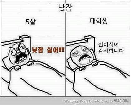 낮잠 공감 짤 | 인스티즈