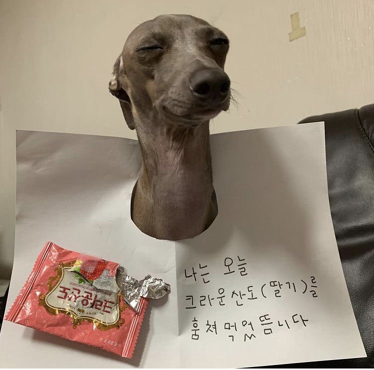 산도 이미지