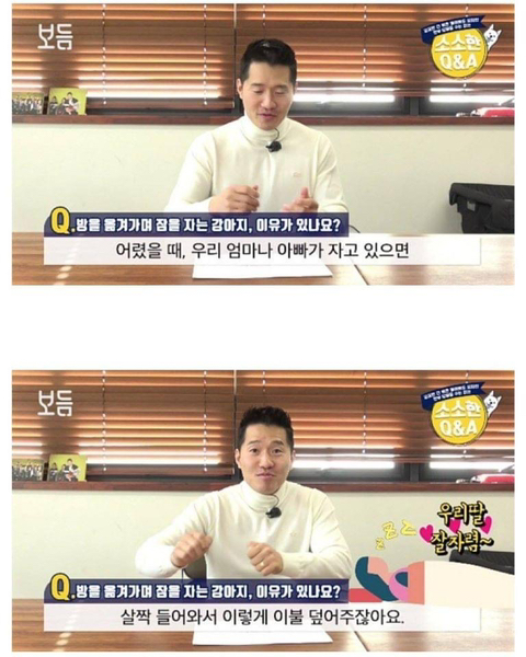 강아 자리를 옮겨가며 자는 이유는? | 인스티즈