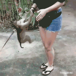 이시키 이미지