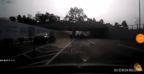 좌표 잘못 찍은 시간여행자 | 인스티즈